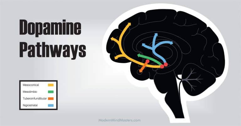 How To Increase Dopamine Naturally The Right Way