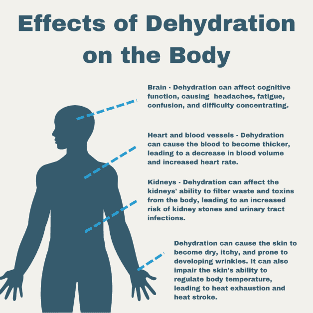 Effects of Dehydration on the Body