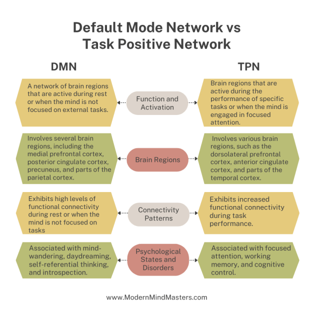 Difference between Default Mode Network (DMN) and Task Positive Networks (TPN).