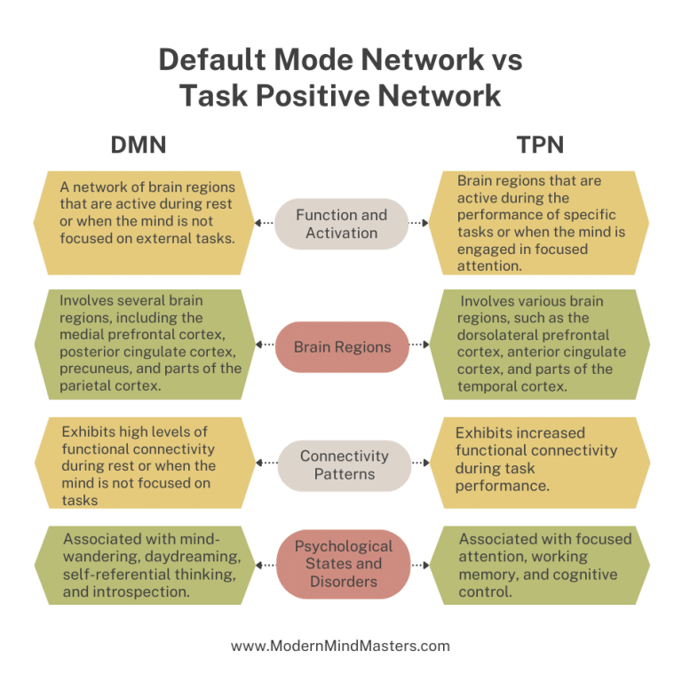 Difference between Default Mode Network (DMN) and Task Positive Networks (TPN).