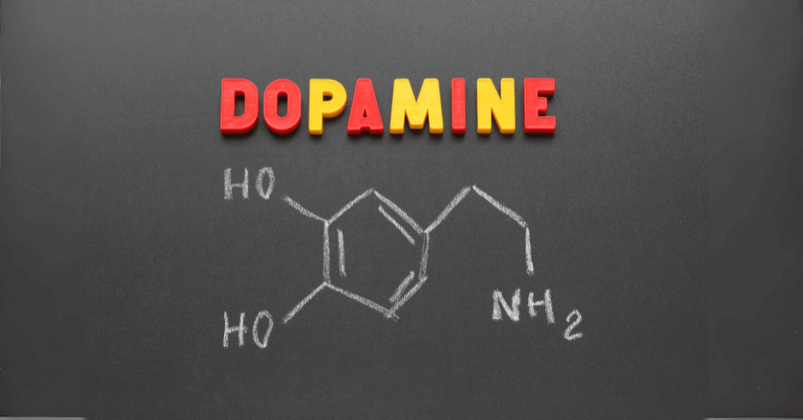 dopamine reset